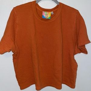 NWOT🟠Big Bud Press Honeycomb Ribbed cropped tee Burnt Orange terracotta Medium